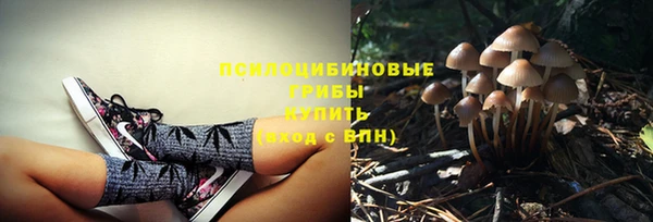 COCAINE Каменка