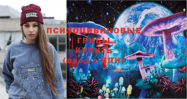 COCAINE Каменка