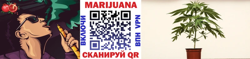 Конопля SATIVA & INDICA даркнет сайт Саратов